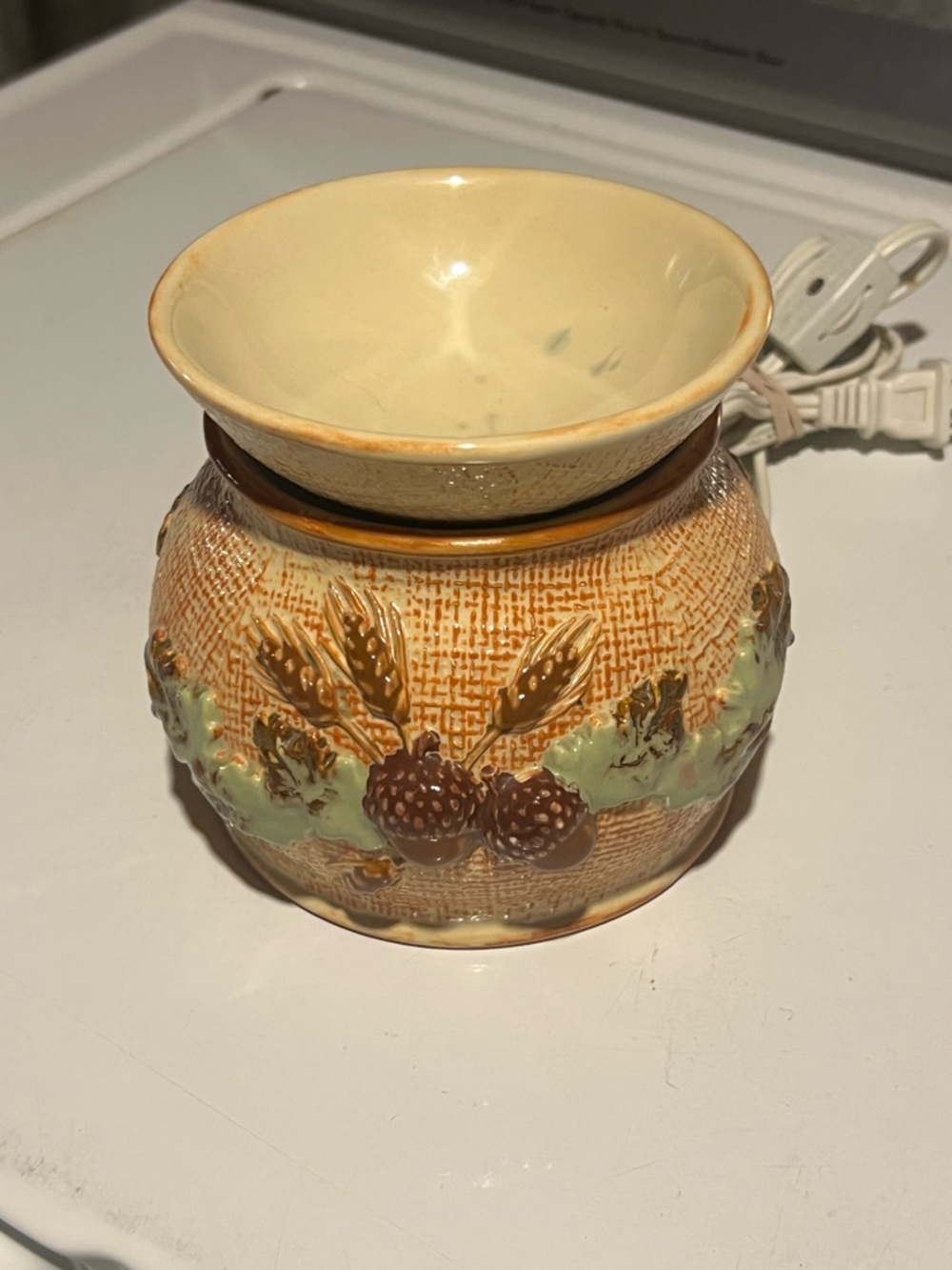 kathy ireland Ceramic Fragrant Warmer in Cream, Brown and Green